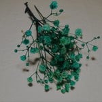 RIYAオリジナルかすみそうプリザーブドフラワーターゴイス