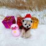 くまさんクリスマス モールベア モールアート