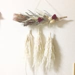 パンパスグラスのタペストリー