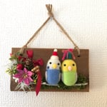 セキセイちゃんのクリスマスフラワーボード🎄