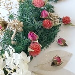 【クリスマス🎄オススメ】シェア花材☆クリスマス コロコロセット