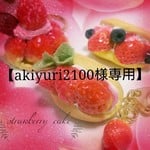 【akiyuri2100様専用】