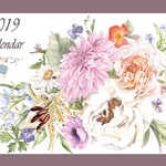 2019年カレンダー5冊、一セット