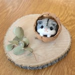 くるカラハムちゃん（グレー）1