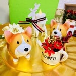 クリスマス🎄🤶コーギーちゃんセット🐶💕