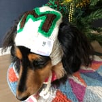 🟡20% OFF【18AW#25】ロゴタグ付き🐶犬用ニット帽