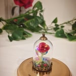 魔法の薔薇ローズドームペンダント