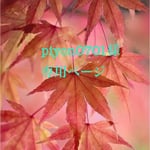 piyon様専用ページ
