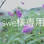sweetbiscuit様専用
