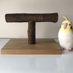 愛鳥さんの国産樫卓上自然木止まり木（スタンドパーチT）