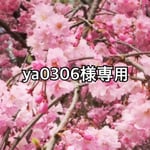 ya0306様専用ページ
