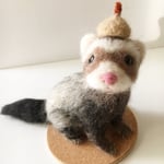 フェレットちゃん