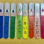 【再販70】児童指導員の手作りおもちゃ 色鉛筆ぽっとん棒12本
