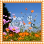 reoc 様専用カート ブライス ワンピース 木の実柄 オレンジ