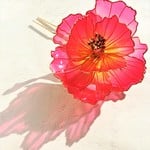 牡丹の二又かんざし（赤黄）