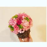 lovely pink💗