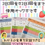 12月下旬までお値引き❗️離乳食ファイル ファイル付きです