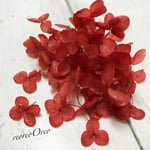 ゴールドラメxレッド アナベル 紫陽花    30枚プリザーブドフラワー