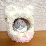 ハムスターのモフモフハウス(ドワーフ用)
