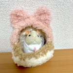 ハムスターのモフモフハウス(ドワーフ用)