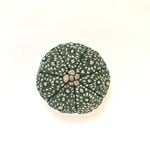 兜丸の刺繍ブローチ（チャーム変更可）