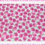  35cm✖️50cm ランチョンマット☆ ストロベリー