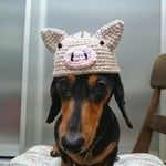 わんこ用かぶりもの！うり坊☆Sサイズ