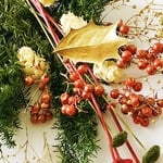 【クリスマス🎄オススメ】シェア花材☆クリスマスが今年もやってくるセット