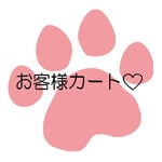 ★ココちゃん様専用カート♡