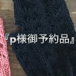 『p様御予約品』薄手のハンドウォーマーBR