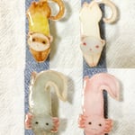 フェレット×ウーパールーパークリップ