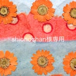 shionochan様専用