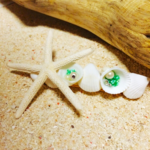 発送は6月初旬になりますm(_ _)mシェル&スターフィッシュバレッタ☆クラッシュシェル入り♡
