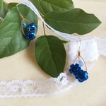 Blue roseぴあす