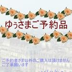saly☆ゆぅさまご予約品*★*―――――