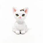 コルクの三毛子猫
