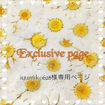iyumiko628様専用ページ