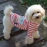 犬服 ボーダー柄ラグランTシャツ