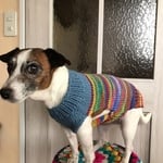 ジェックのシマシママフラー付きセーター