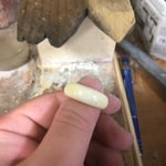 zeeky様専用 セイウチ 牙ring 22号