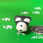 ちびわんこ(シュナウザー)