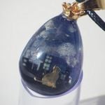 【ちょっと訳あり】街猫と輝く宇宙