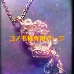 コノギ様専用ページ