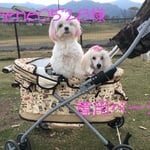 nene0528様専用ページ