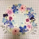 #73　デルフィニウム✿*押し花素材セット(*´ω`*)❀