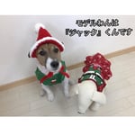 🎅サンタ帽子（とんがりタイプ）2016〜（🔴①〜④で選択を！）