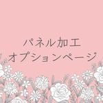 パネル加工オプションページ