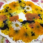 ♡new♡ ♡お手軽価格♡  ♡押し花セット♡
