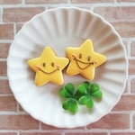 にこにこスター☆＜2枚セット＞アイシングクッキー【fufua】
