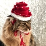 クリスマス帽子6